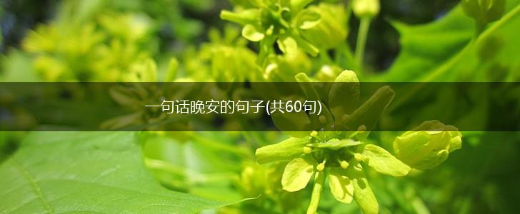 一句话晚安的句子(共60句),第1张