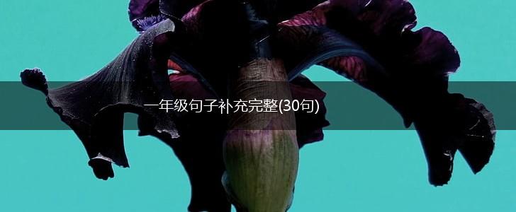一年级句子补充完整(30句),第1张