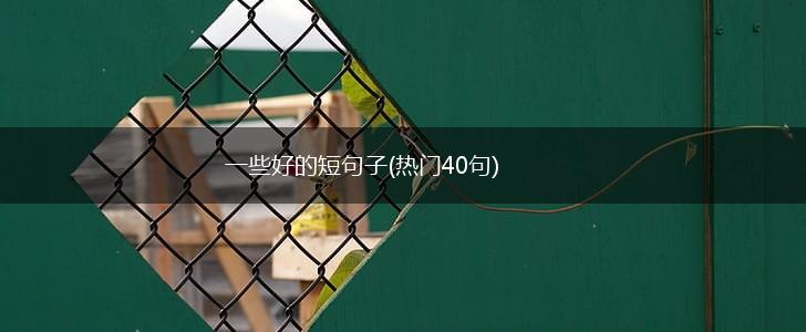 一些好的短句子(热门40句),第1张