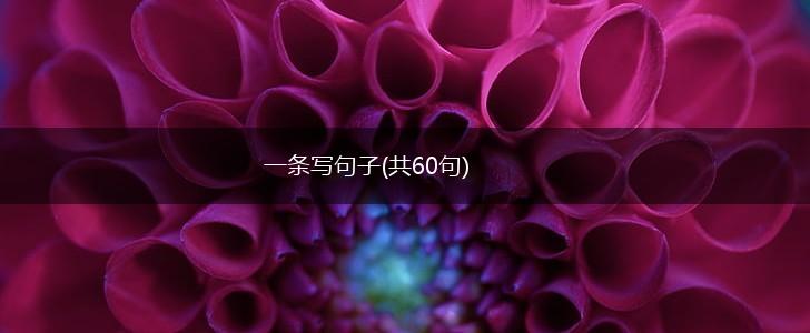 一条写句子(共60句),第1张