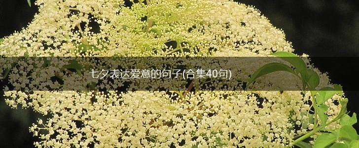 七夕表达爱意的句子(合集40句),第1张