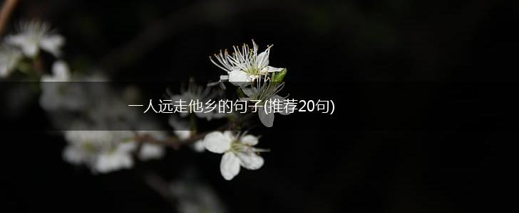 一人远走他乡的句子(推荐20句),第1张