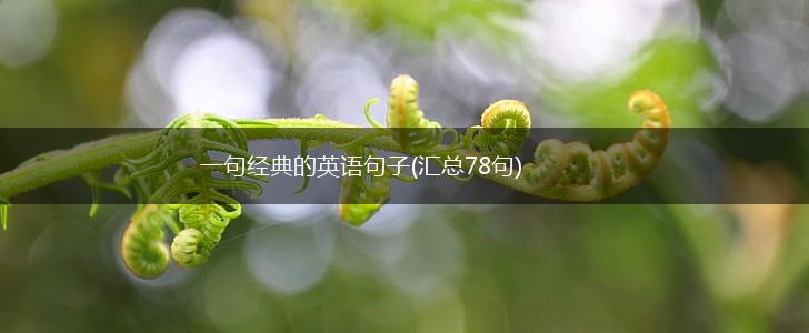一句经典的英语句子(汇总78句),第1张