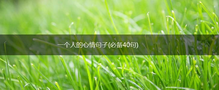 一个人的心情句子(必备40句),第1张