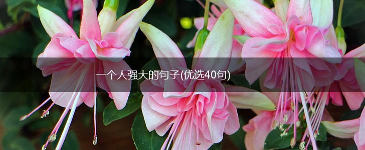一个人强大的句子(优选40句),第1张
