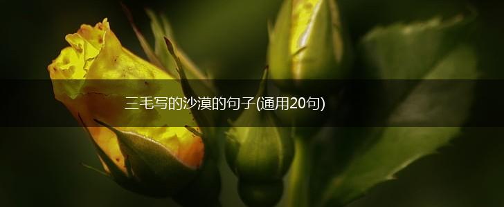 三毛写的沙漠的句子(通用20句),第1张