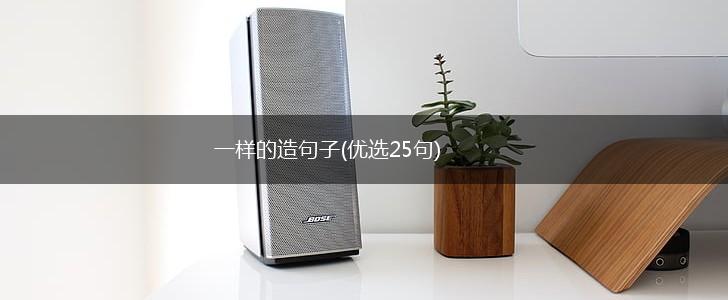 一样的造句子(优选25句),第1张