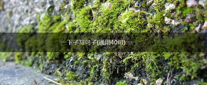 一下子写句子(通用40句),第1张