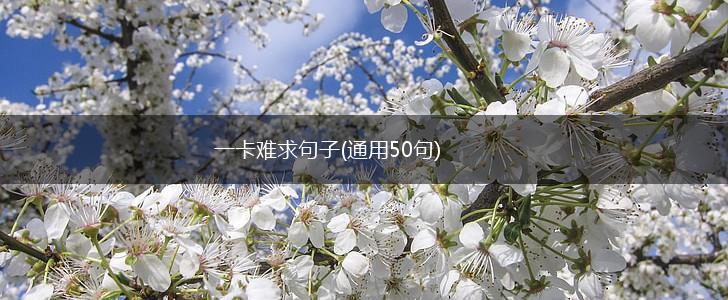 一卡难求句子(通用50句),第1张