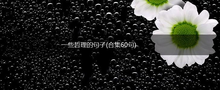一些哲理的句子(合集60句),第1张