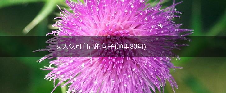 丈人认可自己的句子(通用80句),第1张