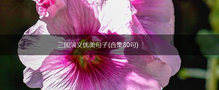三国演义优美句子(合集80句),第1张