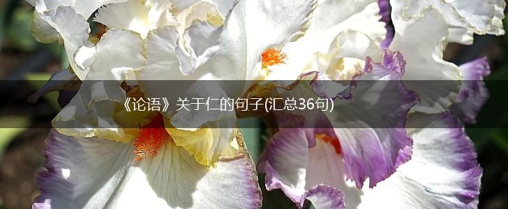 《论语》关于仁的句子(汇总36句),第1张