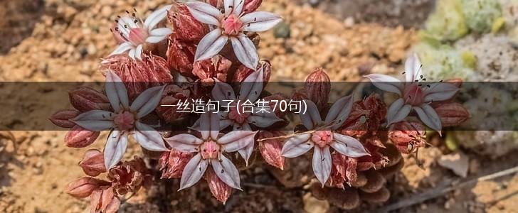 一丝造句子(合集70句),第1张