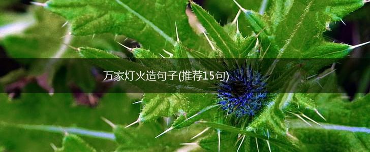 万家灯火造句子(推荐15句),第1张