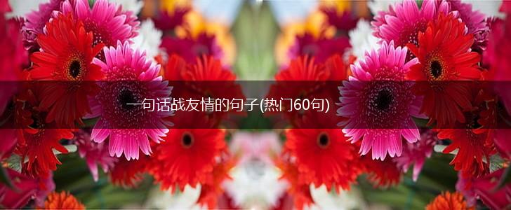 一句话战友情的句子(热门60句),第1张