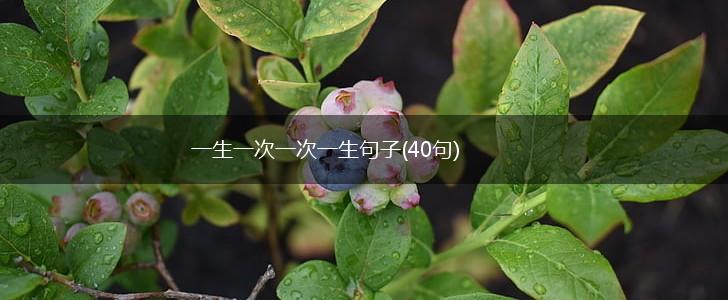 一生一次一次一生句子(40句),第1张