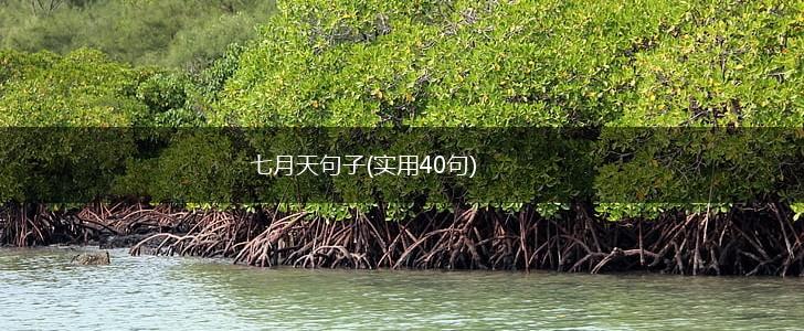 七月天句子(实用40句),第1张