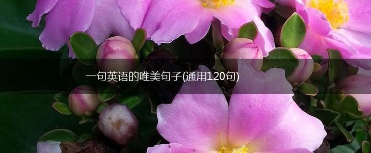 一句英语的唯美句子(通用120句),第1张