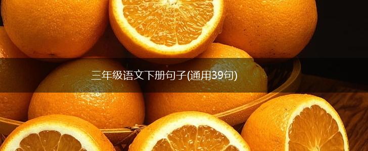 三年级语文下册句子(通用39句),第1张
