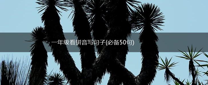 一年级看拼音写句子(必备50句),第1张