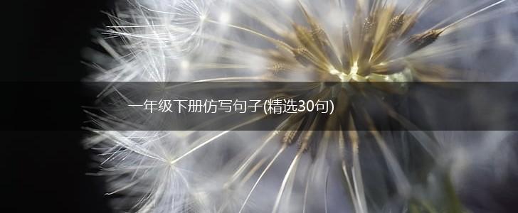 一年级下册仿写句子(精选30句),第1张