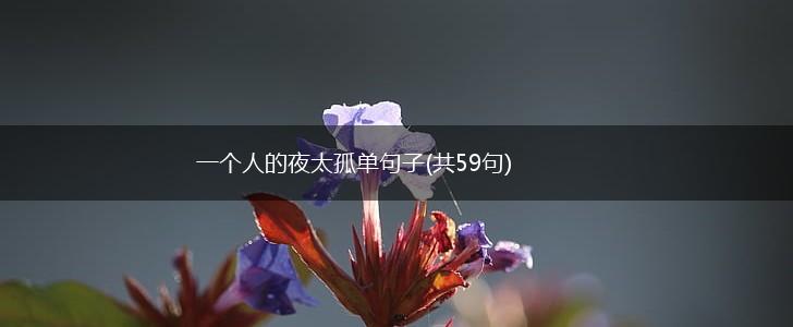 一个人的夜太孤单句子(共59句),第1张