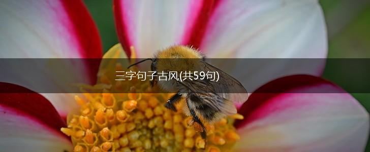 三字句子古风(共59句),第1张