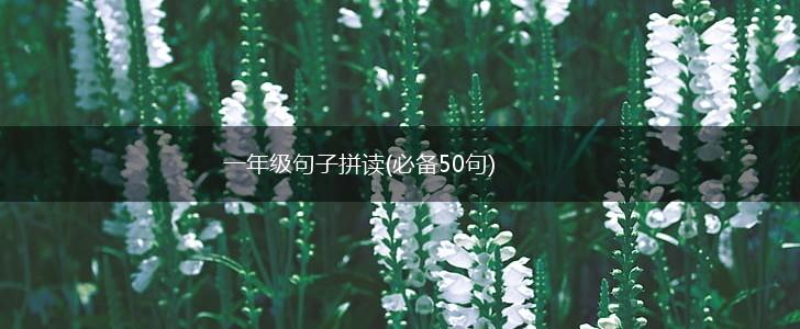 一年级句子拼读(必备50句),第1张