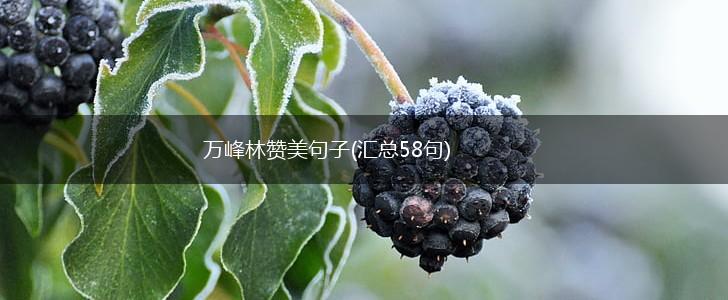 万峰林赞美句子(汇总58句),第1张
