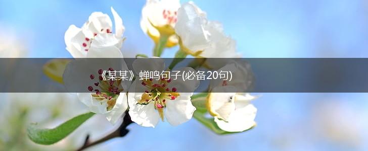 《某某》蝉鸣句子(必备20句),第1张