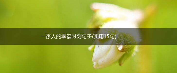 一家人的幸福时刻句子(实用15句),第1张