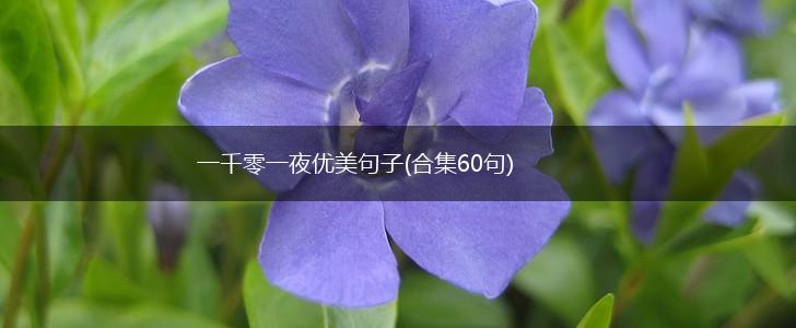 一千零一夜优美句子(合集60句),第1张