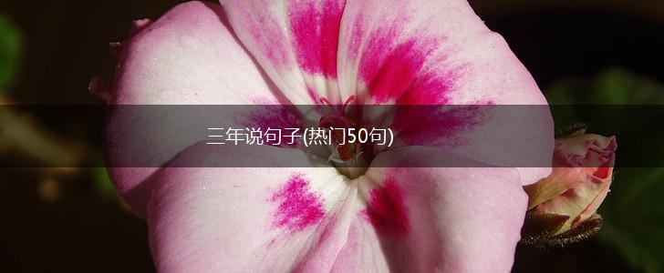三年说句子(热门50句),第1张
