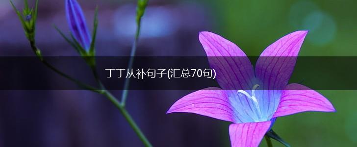 丁丁从补句子(汇总70句),第1张