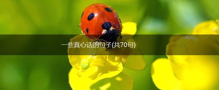 一些真心话的句子(共70句),第1张