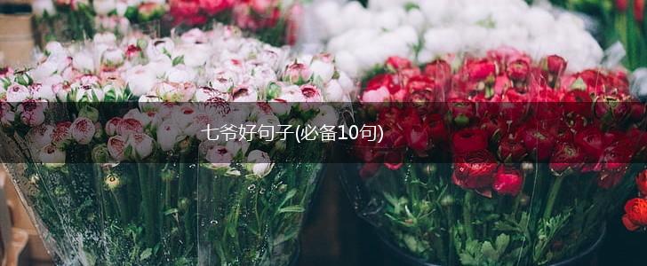 七爷好句子(必备10句),第1张