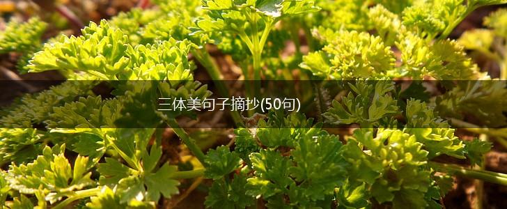 三体美句子摘抄(50句),第1张