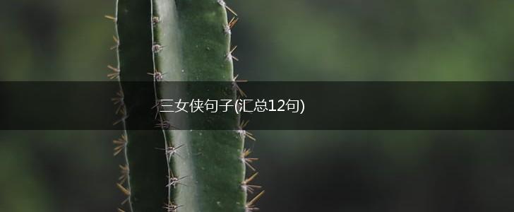 三女侠句子(汇总12句),第1张