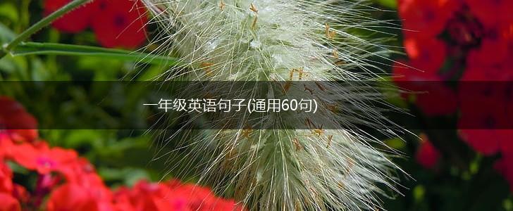 一年级英语句子(通用60句),第1张