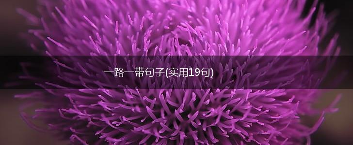 一路一带句子(实用19句),第1张