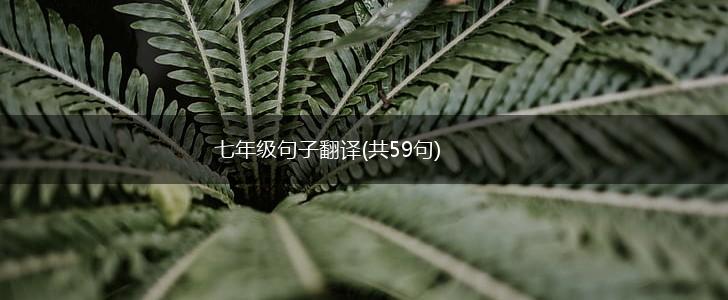 七年级句子翻译(共59句),第1张