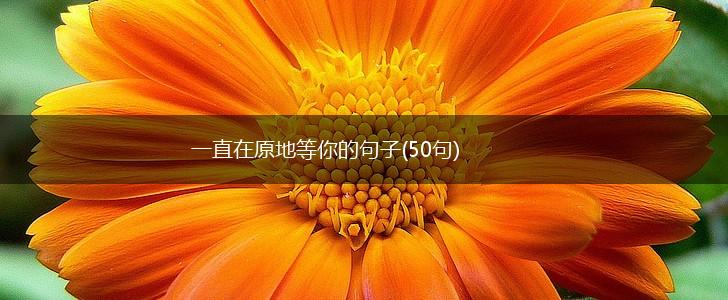一直在原地等你的句子(50句),第1张
