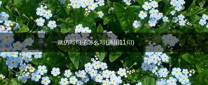 一就仿写句子怎么写(通用11句),第1张