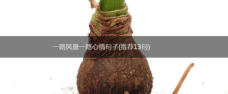 一路风景一路心情句子(推荐13句),第1张
