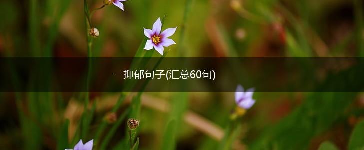 一抑郁句子(汇总60句),第1张
