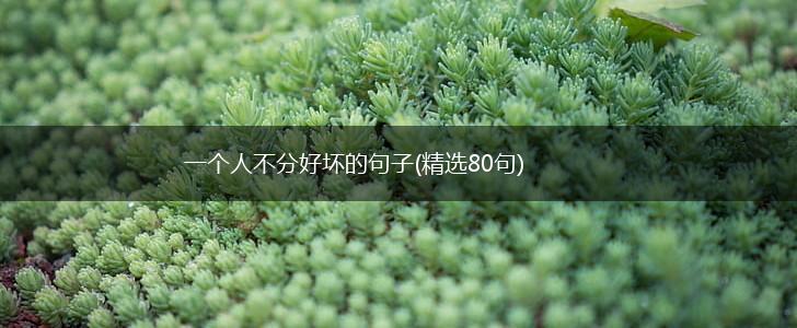 一个人不分好坏的句子(精选80句),第1张