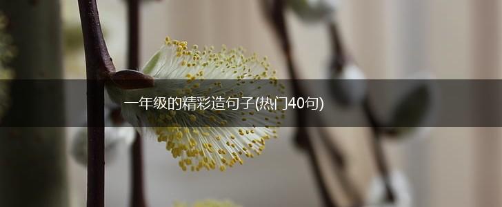 一年级的精彩造句子(热门40句),第1张