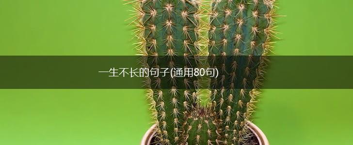 一生不长的句子(通用80句),第1张