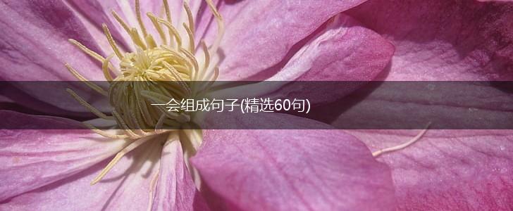 一会组成句子(精选60句),第1张